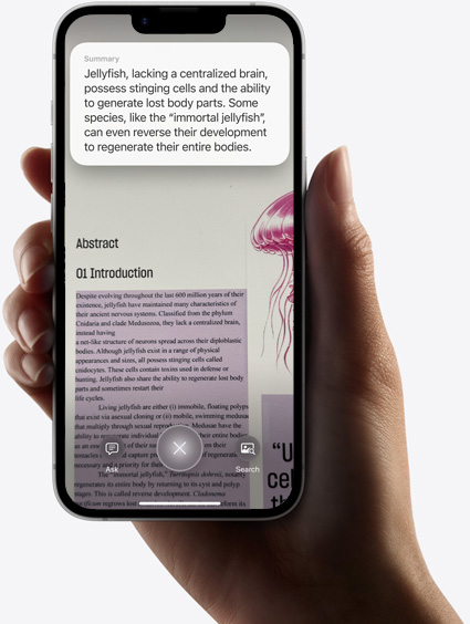 一隻手拿著 iPhone 16e，螢幕顯示使用視覺智慧功能得到的搜尋結果。