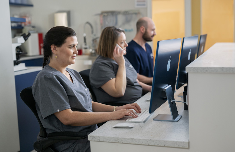 iMacなら患者の記録へのアクセスもスムーズです