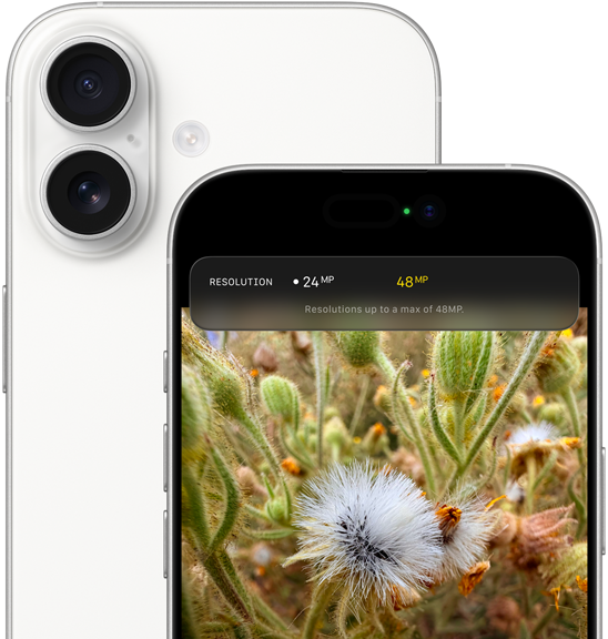 Gruppenselfie mit dem Feature Automatische Ausrichtung für Fotos